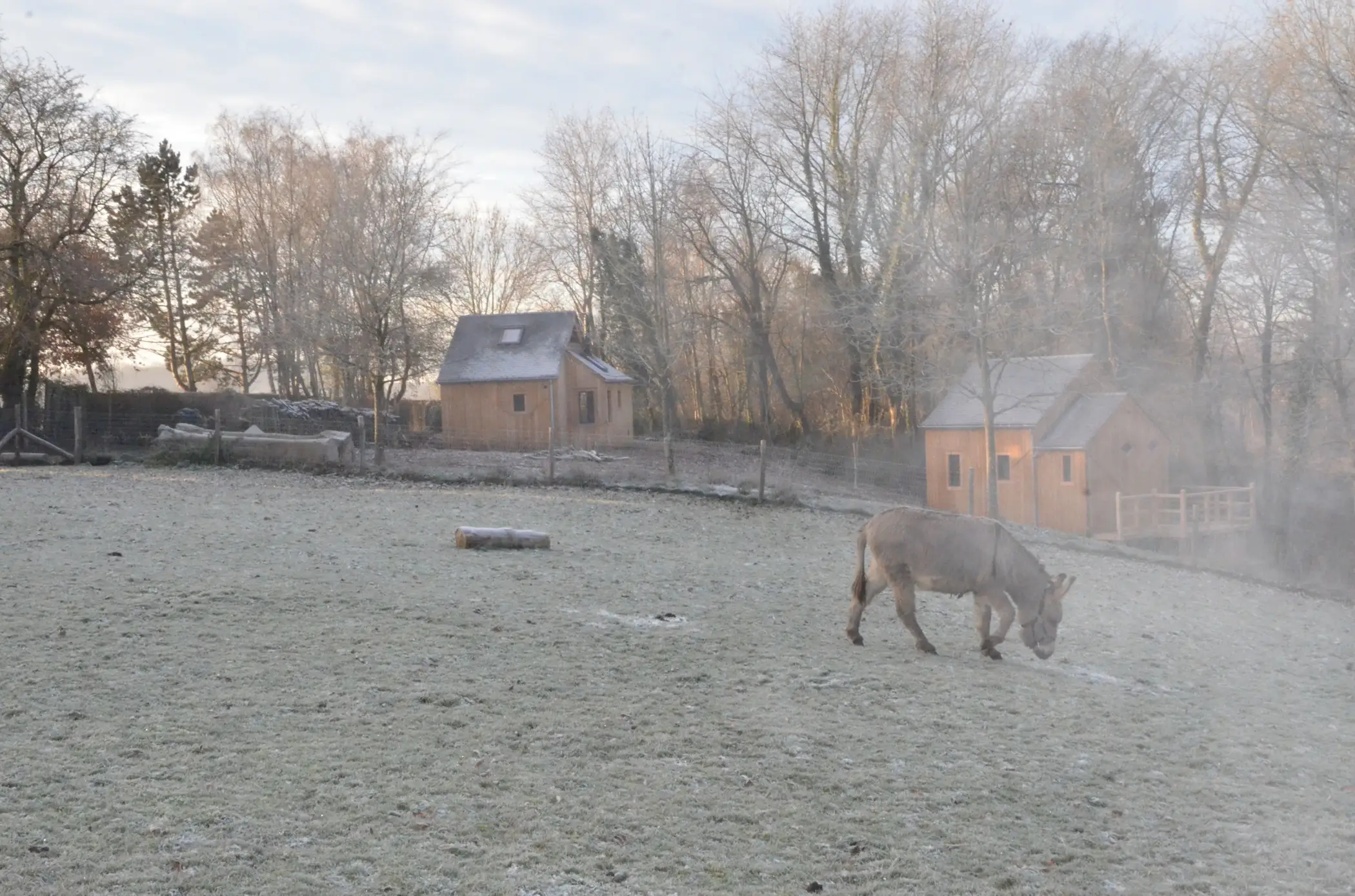 Cottage for 2 people in Gesves Les Cabanes des Pierreux : Ralf